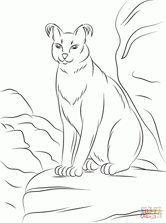 Cute Caracal coloring page | Free Printable Coloring Pages