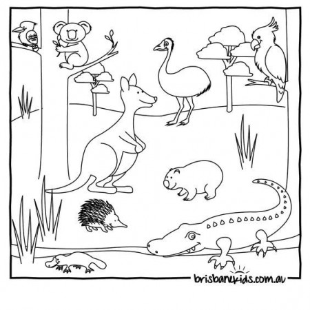 Australian Animals Colouring Pages | Australian Animals, Colouring ...
