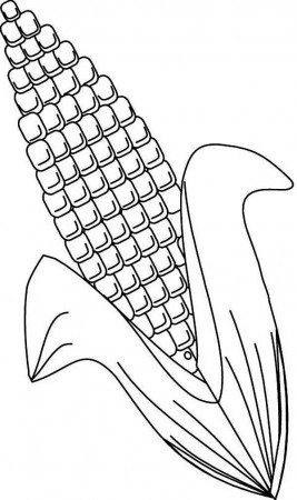 Ear of Corn Coloring Page: Ear of Corn Coloring Page – Coloring Sun