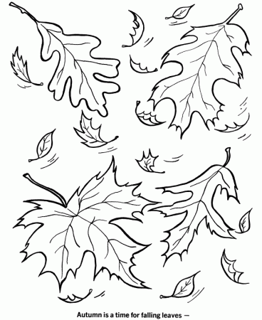Printable Fall Leaves Coloring Sheets - High Quality Coloring Pages