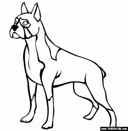 Boxer Dog Coloring Page