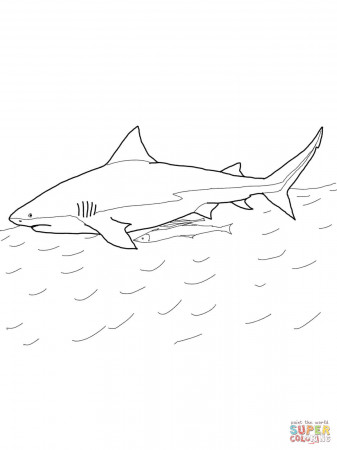 Realistic Bull Shark coloring page | Free Printable Coloring Pages