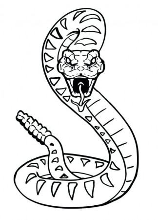 Scary Rattlesnake Coloring Free Printable Of Rattlesnakes Snakes Snake Lego  Ninjago Math Coloring Pages Of Rattlesnakes Coloring Pages kumon tutoring  cost problem solving involving addition and subtraction worksheets  accounting math worksheets irrational
