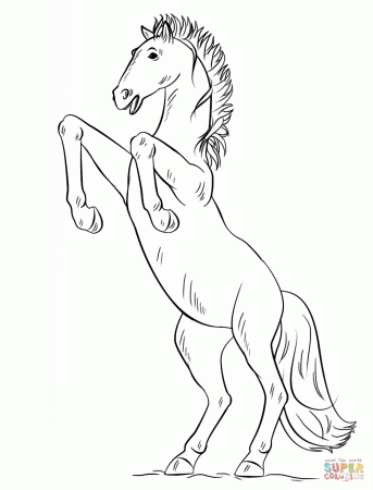 Bucking Foal coloring page | Free Printable Coloring Pages