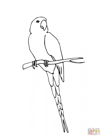 Jamaican Red Macaw coloring page | Free Printable Coloring Pages