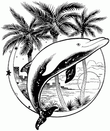 Print & Download - My Experience of Making Dolphin Coloring Pages -