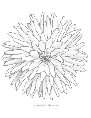 Difficult Flower - Coloring Pages for Kids and for Adults