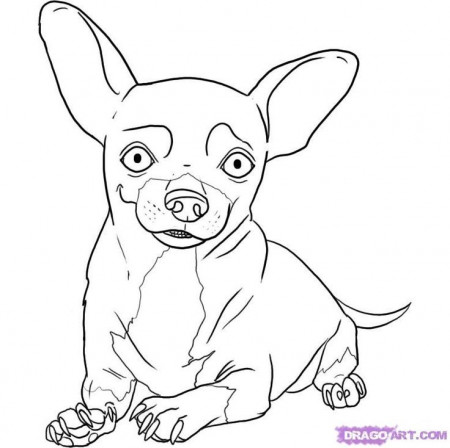 Chihuahua And Pug Coloring Pages - Coloring Pages For All Ages