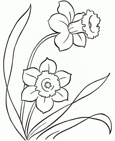 Hawaiian Flower Printable - Coloring Pages for Kids and for Adults