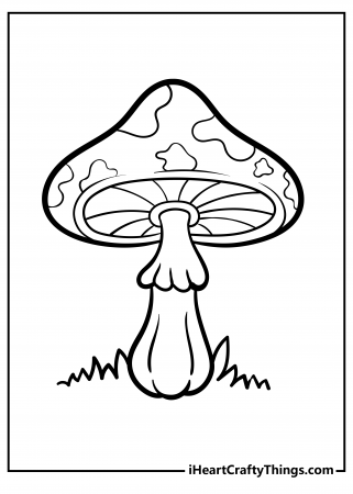 Printable Mushroom Coloring Pages (Updated 2023)