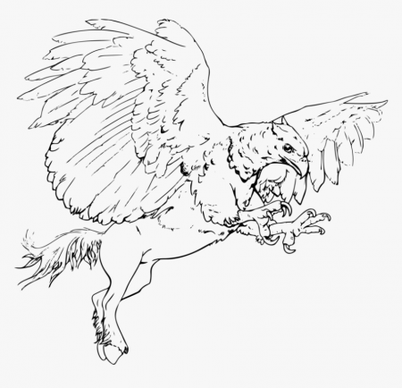 Griffins coloring pages