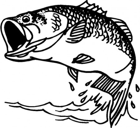 Free Bass Fish Black And White, Download Free Bass Fish Black And White png  images, Free ClipArts on Clipart Library