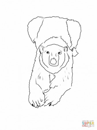 Mother Polar Bear Lying Down And Facing Us coloring page | Free ...