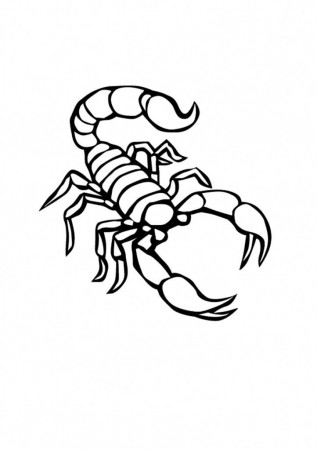 Free Printable Scorpion Coloring Pages For Kids | Scorpion tattoo, Coloring  pages, Small tattoos