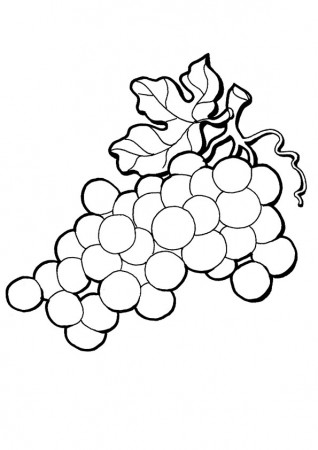 Coloring Pages | Grapes Coloring Page for Kids