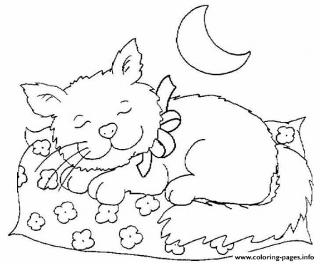 Cat Sleeping At Night 491f Coloring Pages Printable