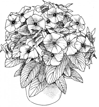 flowers coloring pictures for adults | Only Coloring Pages