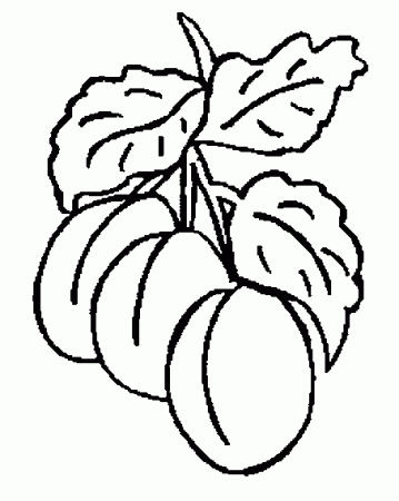 Plum Tree Coloring Pages