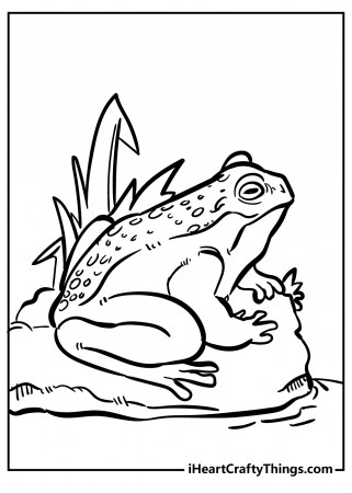 Printable Toad Coloring Pages (Updated 2022)