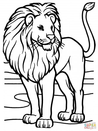 African Lion coloring page | Free Printable Coloring Pages