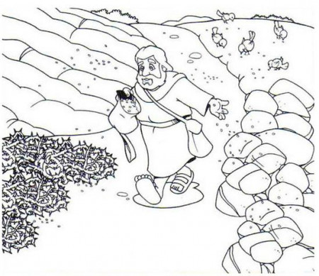 29 Parable Of The Sower Coloring Page ideas | sower, coloring pages,  parables