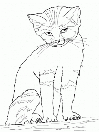 Of Cats And Kittens - Coloring Pages for Kids and for Adults