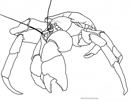 Crab Coloring Page: Cantankerous Crustaceans
