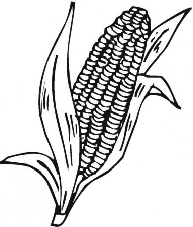 Coloring Pictures Of Corn On The Cob - Coloring Style Pages