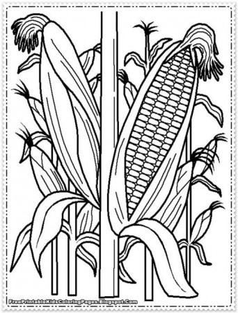 Indian Corn Coloring Page Preschool - Coloring Pages for Kids and ...