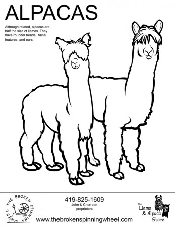 Coloring alpaca Alpaca coloring page free printable coloring pages |  Jessie.captainamericagifts.com