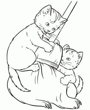 Cat On a Broom Stick Coloring Page | Animal pages of ...