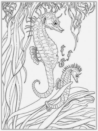 Realistic Seahorse Coloring Pages For Adult | Realistic Coloring Pages