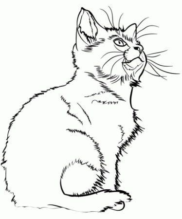 Kitten coloring page | Free Printable Coloring Pages
