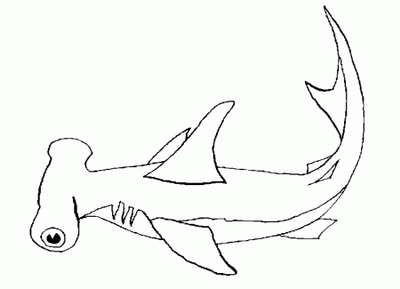 Hammerhead Shark coloring page - Animals Town - animals color 