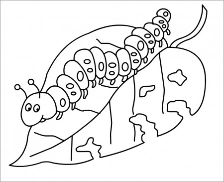 Caterpillar Coloring Pages - ColoringBay