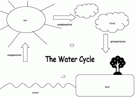 Water Cycle Coloring Page (19 Pictures) - Colorine.net | 23547
