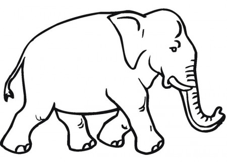 African Animal Template - Animal Templates | Free & Premium Templates | Elephant  coloring page, Animal outline, Animal coloring pages