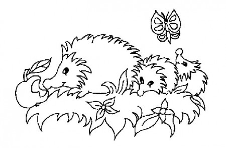 20 Best Hedgehog Coloring Pages for Kids - Updated 2018