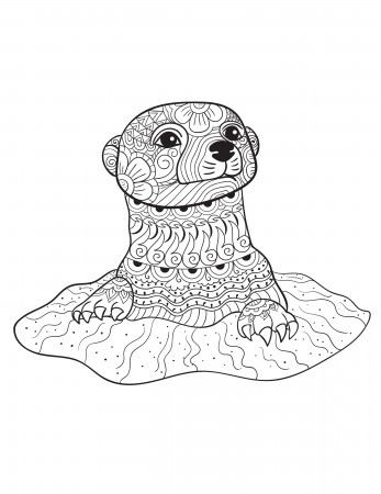 Animal Coloring Pages Printable For Adults