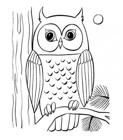 70+ Animal Colouring Pages Free Download & Print! | Free & Premium Templates