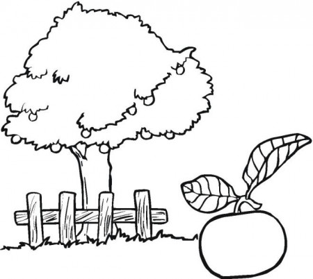 Coloring Book Trees - ClipArt Best