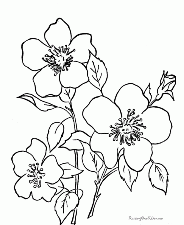 Coloring Pages Flowers Printable | Free Coloring Pages