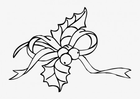 Christmas Holly Ivy - Coloring Pages - 800x800 PNG Download - PNGkit