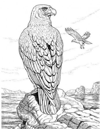 Realistic Animal Coloring Pages Ideas - Whitesbelfast