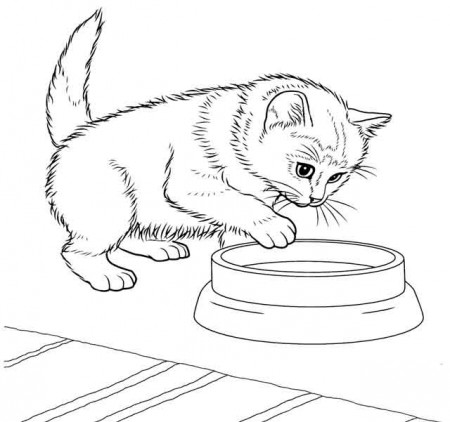 Coloring Pages | Cat Coloring Page