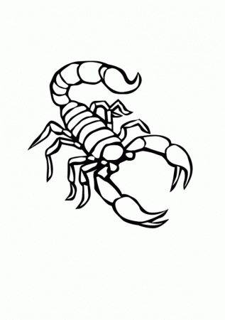 Scorpion | Colouring Pages For Kids
