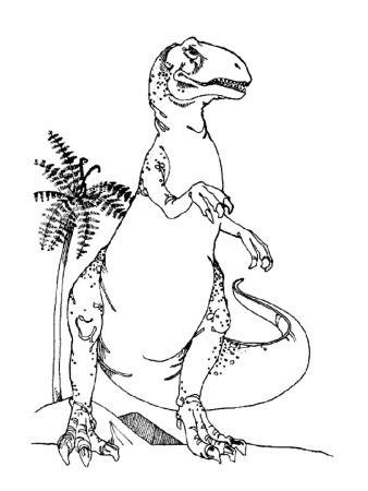 Dinosaur T-Rex Coloring Pages for Kids - Printable Kids Colouring ...