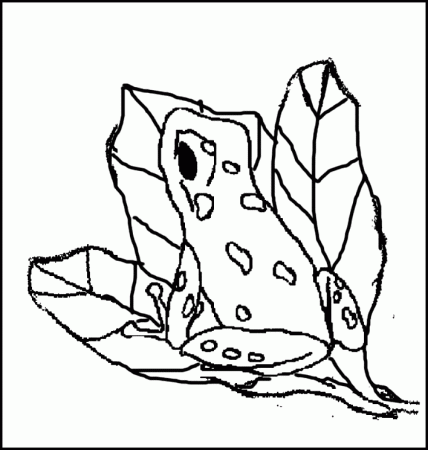 Poison Dart Frog coloring - Free Animal coloring pages sheets ...