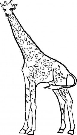 Amazing of Fabulous Giraffe Animals Coloring Pages For G #1936