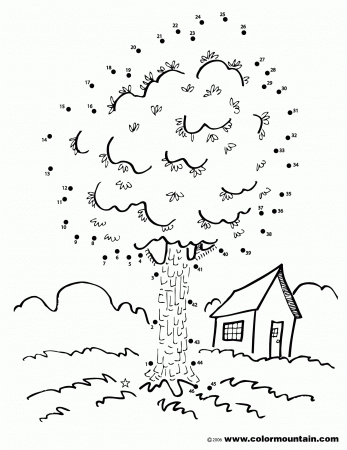 Maple Tree Activity Coloring Page - Create A Printout Or Activity